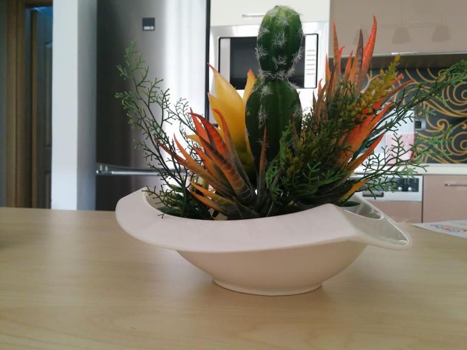Exclusive Apartment Tiran Dış mekan fotoğraf