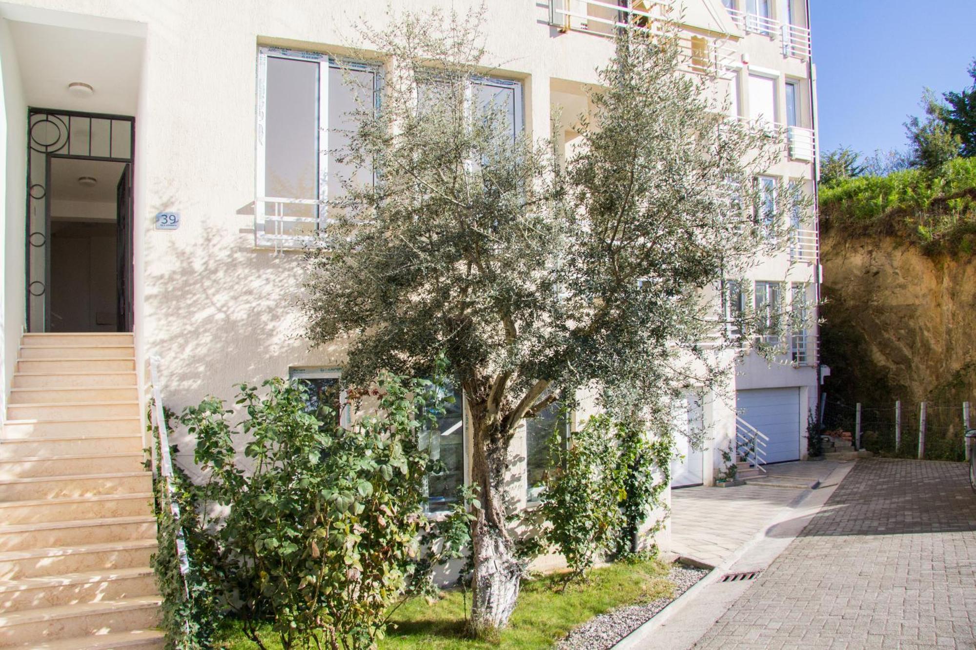 Exclusive Apartment Tiran Dış mekan fotoğraf